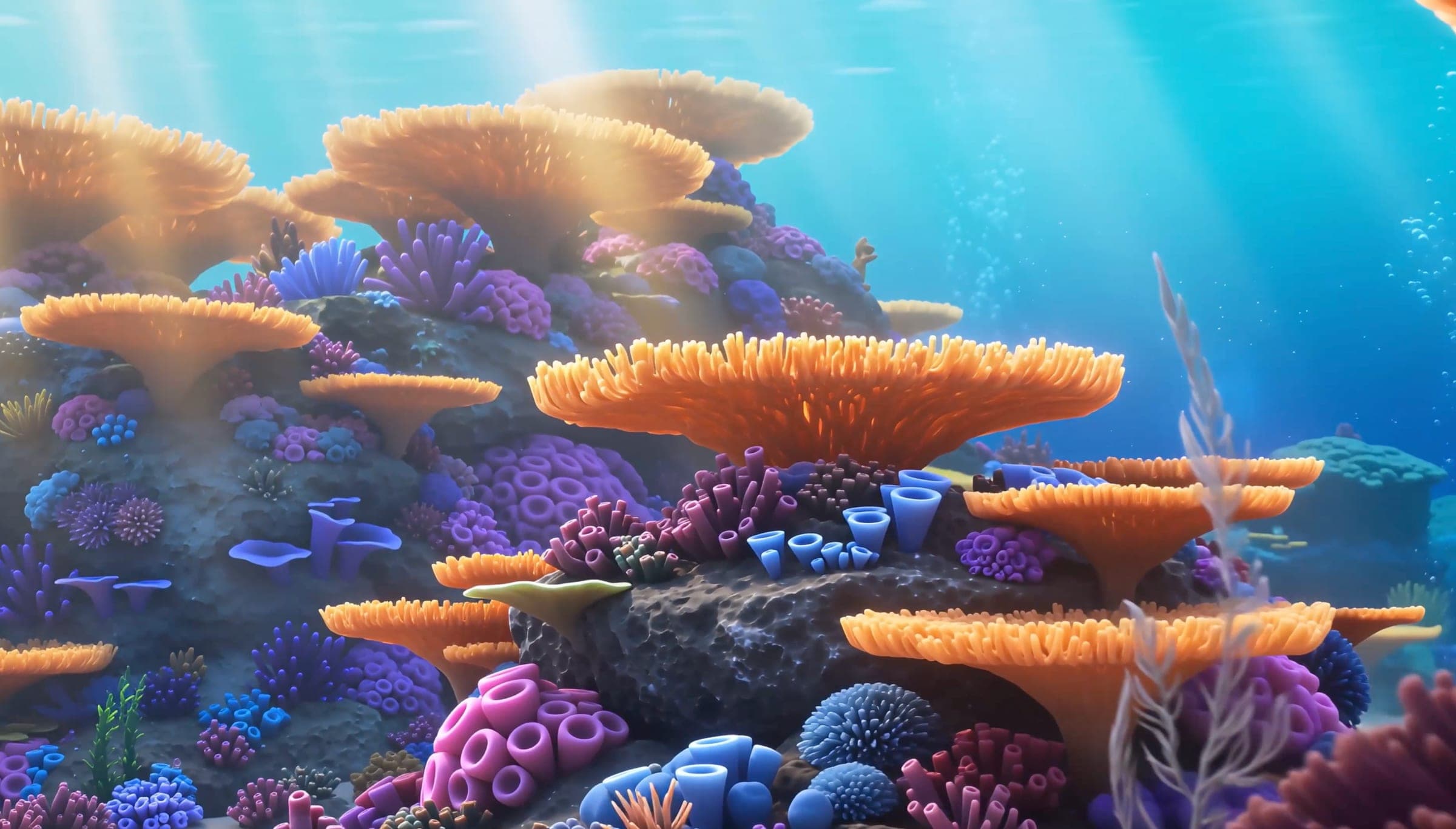 Coral gardens